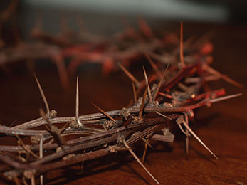 Church art photo of crown of thorns without caption